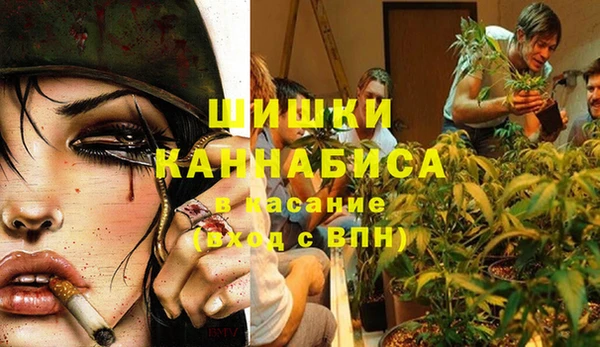 винт Елабуга