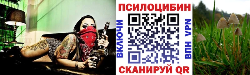 Купить  Людиново  Псилоцибиновые грибы Magic Shrooms 